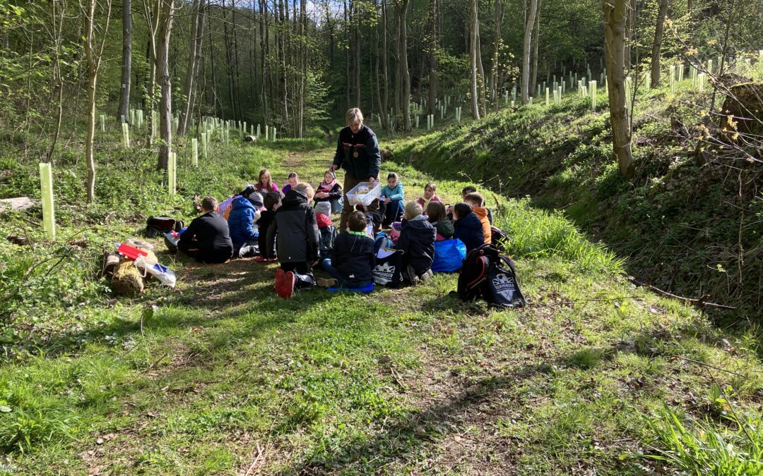 LaGa Kl. 4b: Im Räuberwald unterwegs